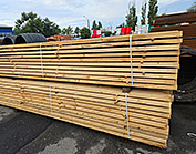 Продажа леса в городе Аксай — ул. Шолохова, 1Б